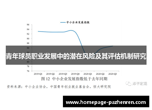 青年球员职业发展中的潜在风险及其评估机制研究