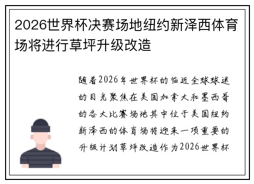 2026世界杯决赛场地纽约新泽西体育场将进行草坪升级改造