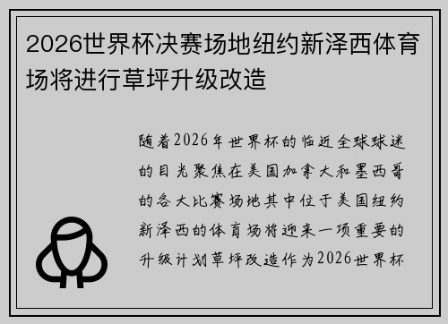 2026世界杯决赛场地纽约新泽西体育场将进行草坪升级改造